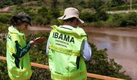 Último dia para inscrições no concurso do Ibama com 460 vagas