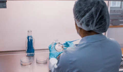 AM recebe inscrições para editais destinados a cientistas mulheres