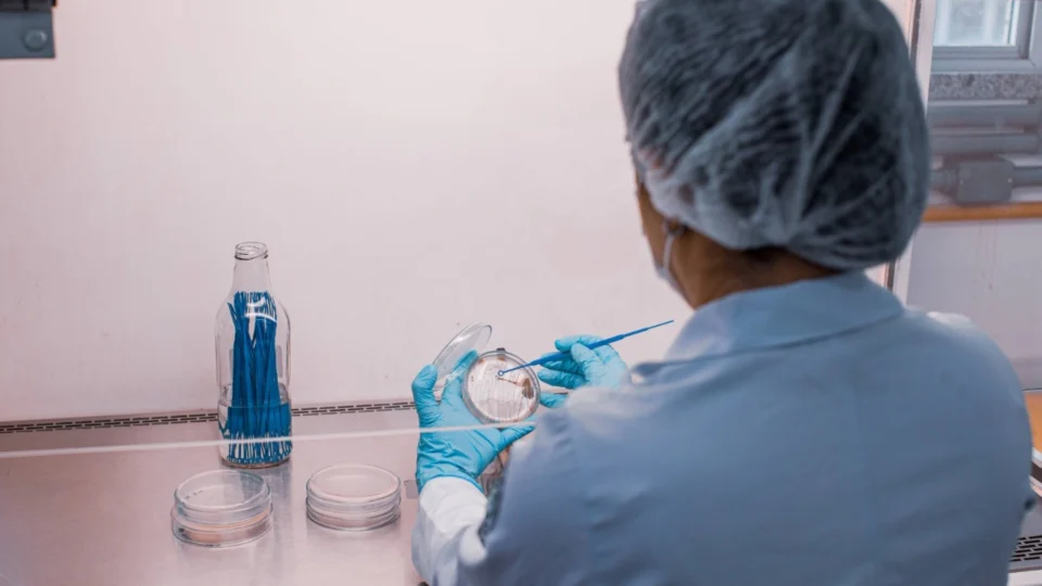 AM recebe inscrições para editais destinados a cientistas mulheres