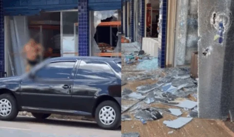 VEJA VÍDEO: tutor destrói pet shop a marteladas após morte de cadela