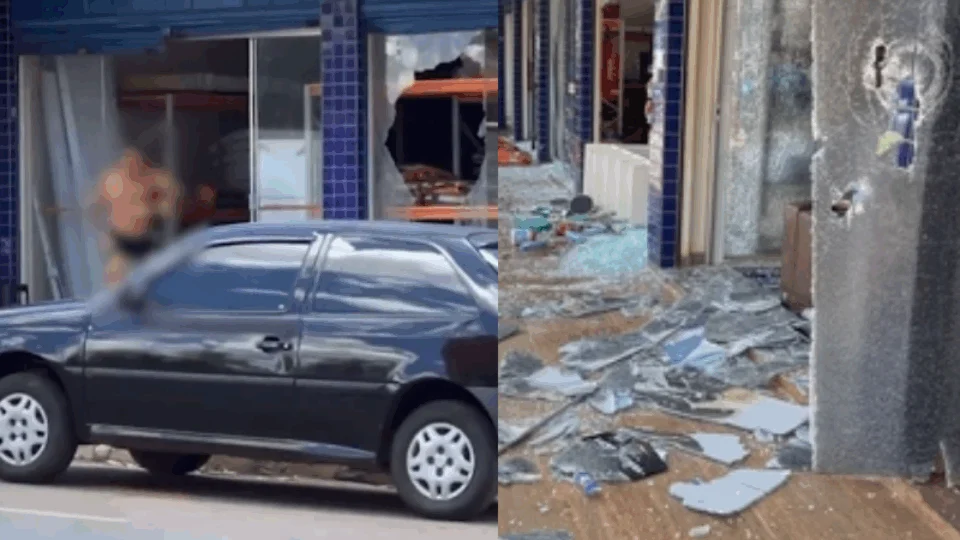 VEJA VÍDEO: tutor destrói pet shop a marteladas após morte de cadela