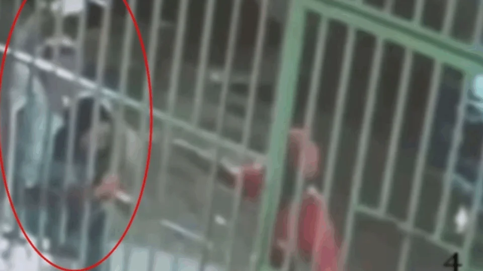 VEJA VÍDEO: idosa tem olho perfurado por mulher com caco de vidro e fica cega