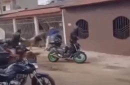 VEJA VÍDEO: motoboys destroem portão de casa após reclamação de buzina