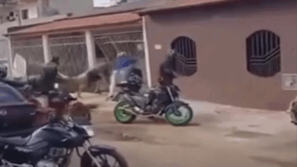 VEJA VÍDEO: motoboys destroem portão de casa após reclamação de buzina