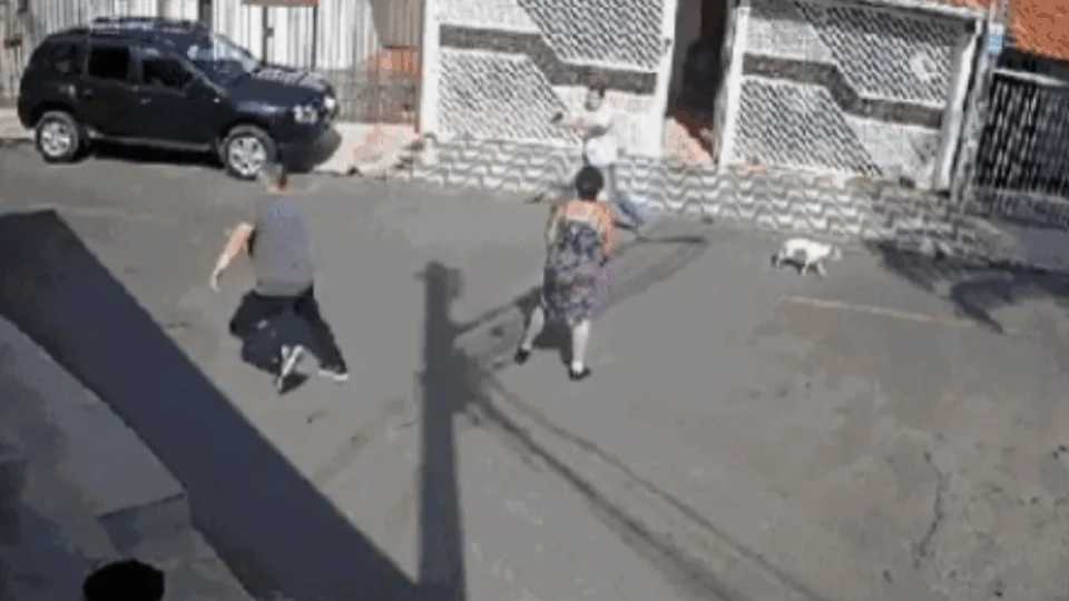 VEJA VÍDEO: motorista escolar é morto após briga com vizinho por estacionamento