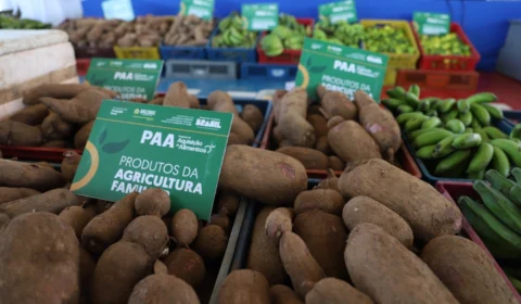 Inscrição no programa de Aquisição de Alimentos segue até 10 de fevereiro