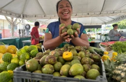 Feira de Produtos Regionais agita o fim de semana em seis pontos de Manaus