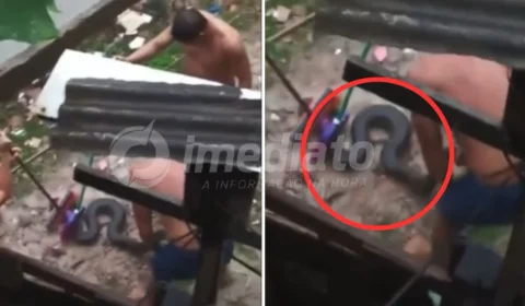 VEJA VÍDEO: moradores capturam sucuri durante forte temporal em Manaus