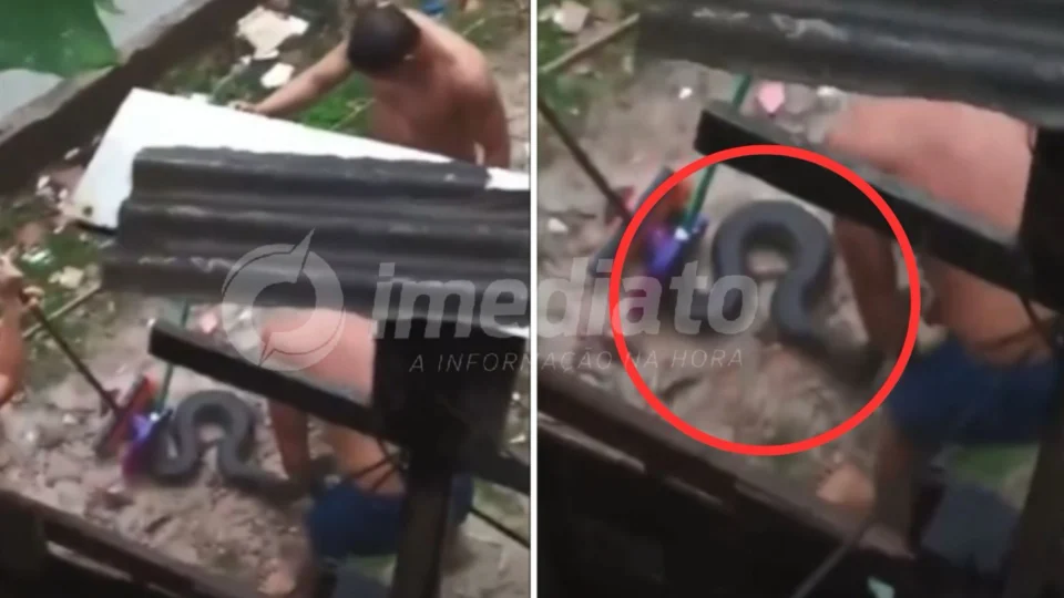VEJA VÍDEO: moradores capturam sucuri durante forte temporal em Manaus