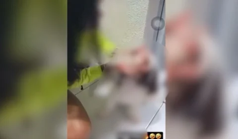 VEJA VÍDEO: mulher é filmada obrigando cachorro a inalar fumaça de maconha