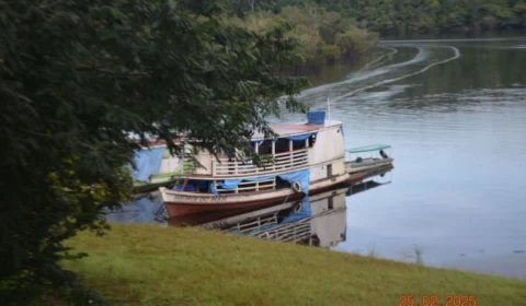 Projeto Apoiado pela Petrobras Contribui para a Conservação e Desenvolvimento Sustentável da Região Amazônica