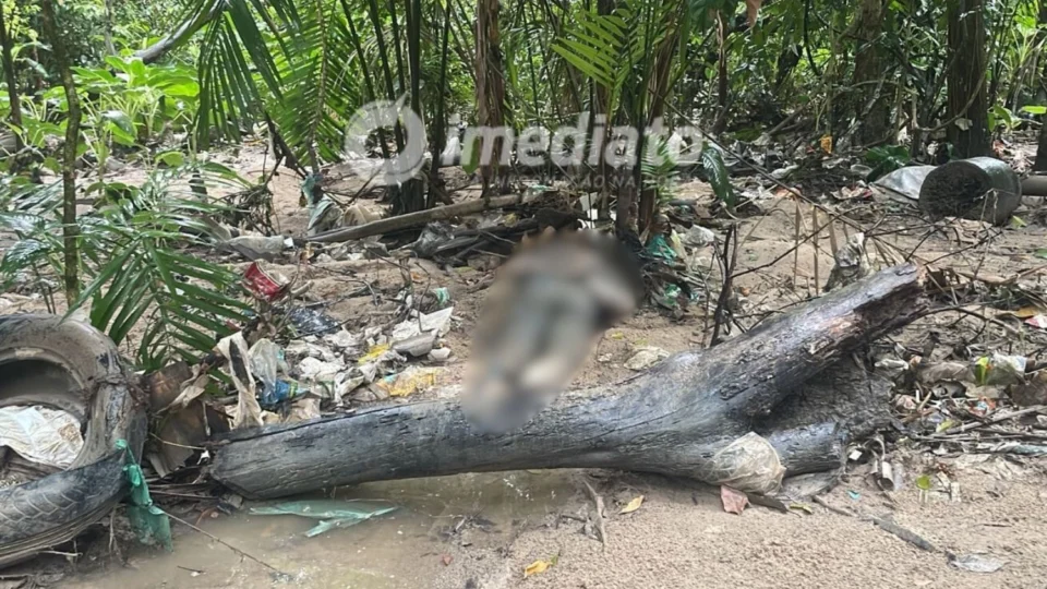Corpo é encontrado com sinais de tortura e golpes de arma branca em área de mata no bairro Lagoa Azul
