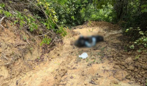 Corpo em estado de decomposição é encontrado em ramal na BR-174, em Manaus