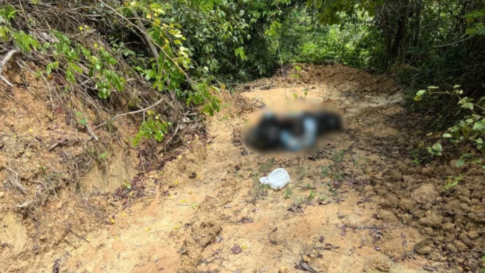 Corpo em estado de decomposição é encontrado em ramal na BR-174, em Manaus