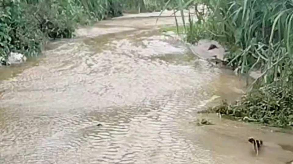 Crânio humano com perfurações é encontrado em igarapé no bairro Val Paraíso, em Manaus