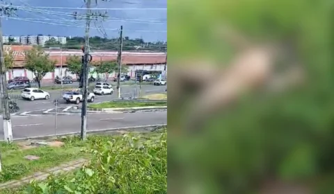 Vídeo: Corpo de homem é encontrado com genitálias expostas e calcinha na perna no Flores