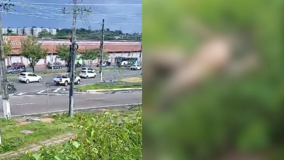 Vídeo: Corpo de homem é encontrado com genitálias expostas e calcinha na perna no Flores