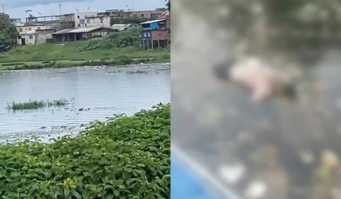 Vídeo: Corpo masculino é encontrado boiando e igarapé no bairro Educandos