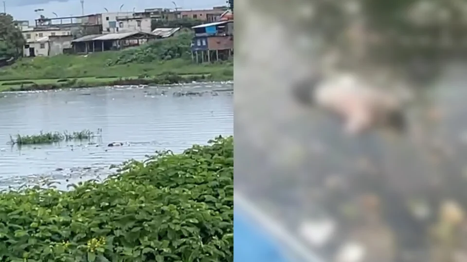 Vídeo: Corpo masculino é encontrado boiando e igarapé no bairro Educandos