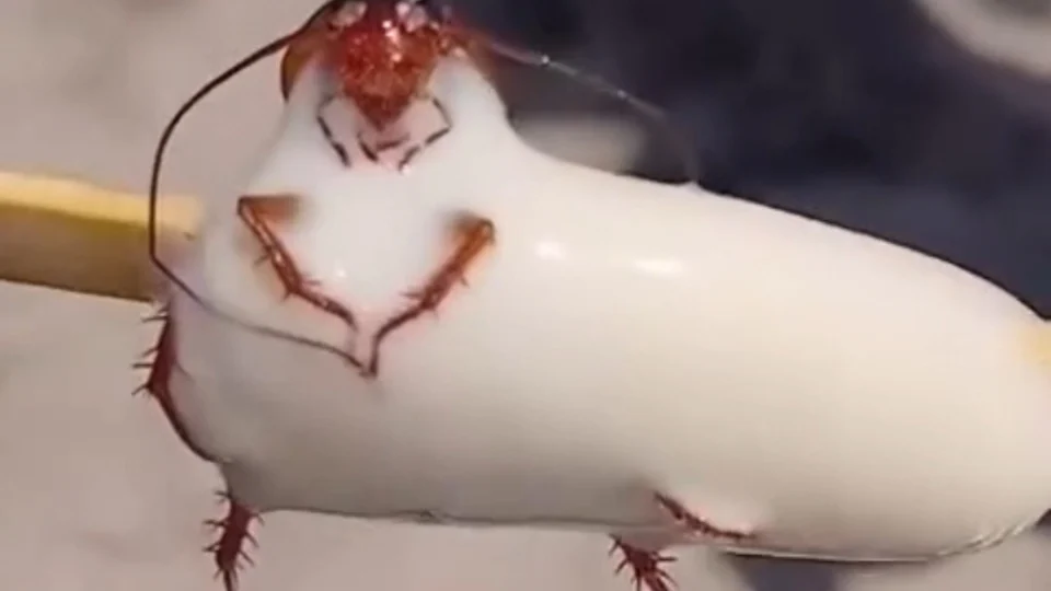 Fábrica de picolés é interditada após viralização de imagem de barata em produto