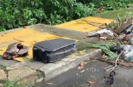 Agentes de limpeza encontram mala com partes de corpo próximo a igarapé no Flores