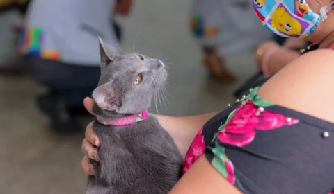 Campanha de vacinação antirrábica animal termina na próxima segunda-feira (31)