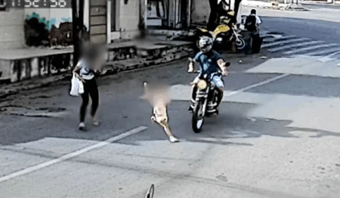 VEJA VÍDEO: menina é atropelada por moto ao atravessar rua e mãe se desespera