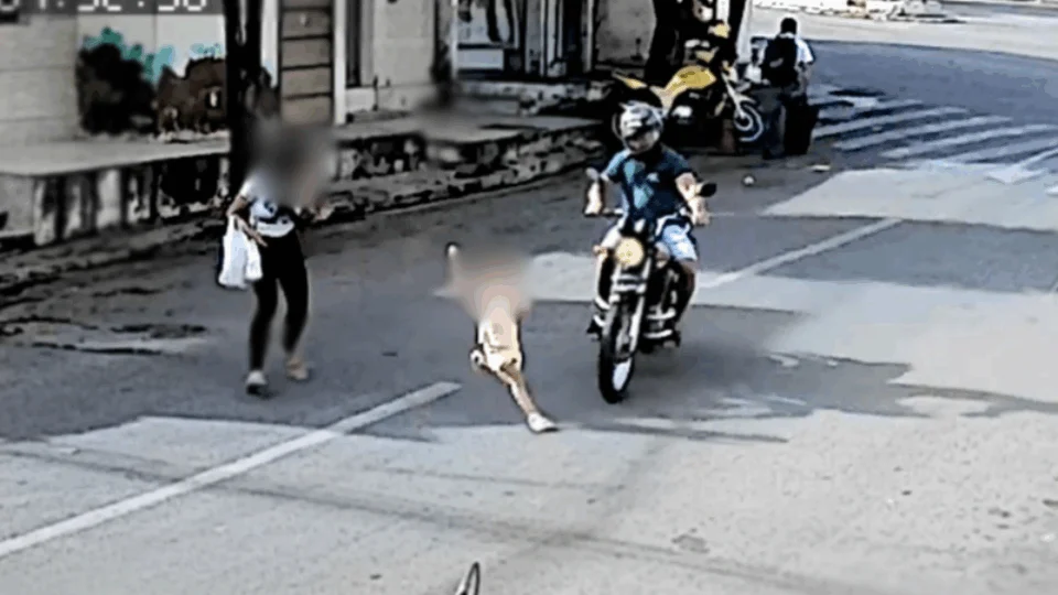 VEJA VÍDEO: menina é atropelada por moto ao atravessar rua e mãe se desespera