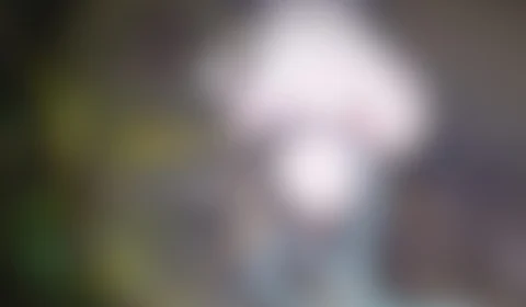 Corpo de homem é encontrado boiando no rio Solimões, em Manacapuru