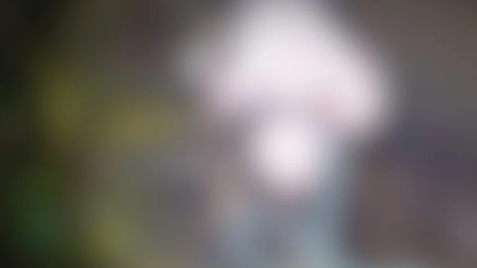 Corpo de homem é encontrado boiando no rio Solimões, em Manacapuru