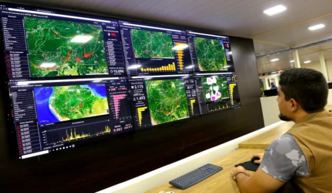 Desmatamento no Amazonas registra queda de 99,85%, aponta Ipaam