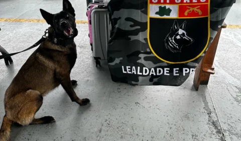 Cocaína escondida em bagagem de barco vindo para Manaus é apreendida