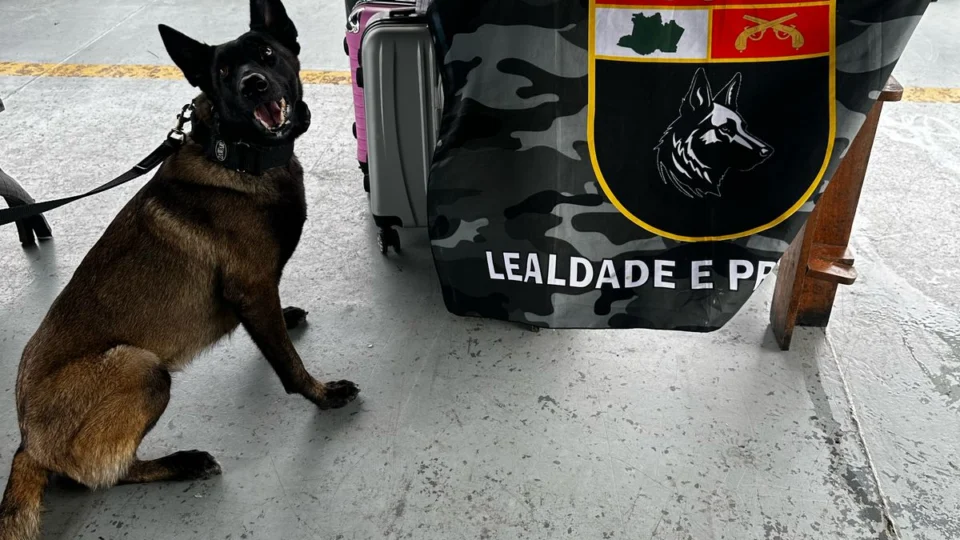 Cocaína escondida em bagagem de barco vindo para Manaus é apreendida