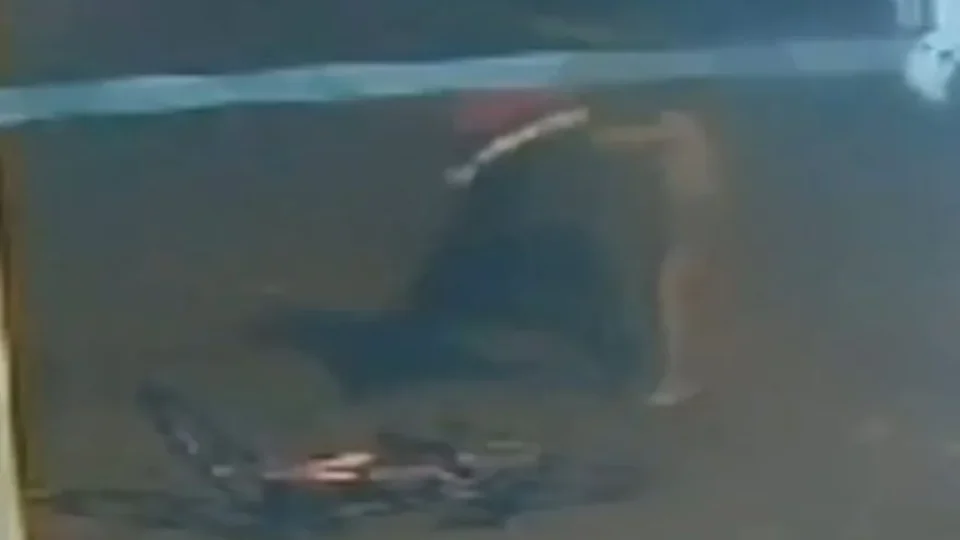 VEJA VÍDEO: jovem é agredida pelo namorado após recusar emprestar o celular