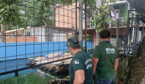 Homem é multado em R$ 140 mil por criar quelônios e peixes em casa no Amazonas