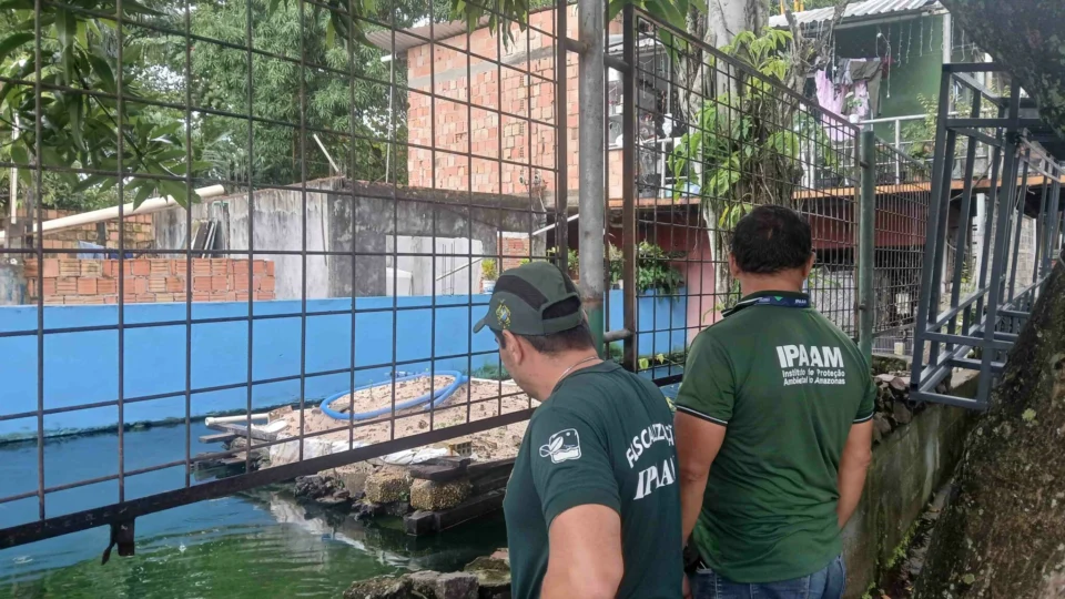 Homem é multado em R$ 140 mil por criar quelônios e peixes em casa no Amazonas