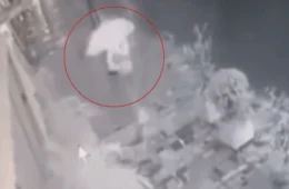 VEJA VÍDEO: com guarda-chuva, mulher leva choque elétrico ao esbarrar em cabo