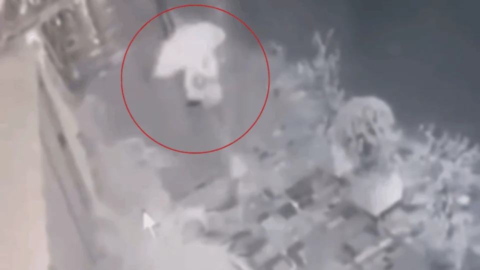 VEJA VÍDEO: com guarda-chuva, mulher leva choque elétrico ao esbarrar em cabo