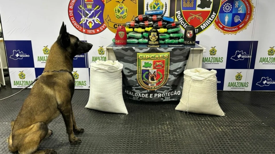 Drogas que vinham para Manaus são encontradas dentro de saco de farinha