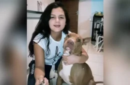 Tutora morre atacada pelo próprio cachorro da raça pit bull