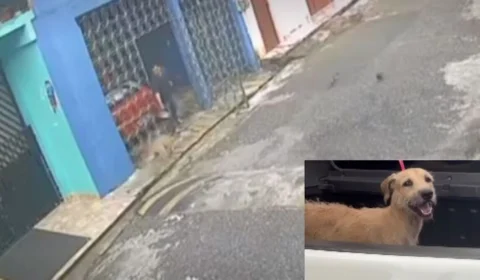IMAGEM FORTE: homem atrai cachorro com comida e joga água quente no animal