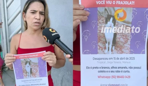 Família procura por Frajola, gato desaparecido na Zona Leste de Manaus