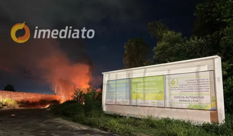 VEJA VÍDEO: incêndio em área de mata próxima a empresa assusta moradores no Distrito Industrial