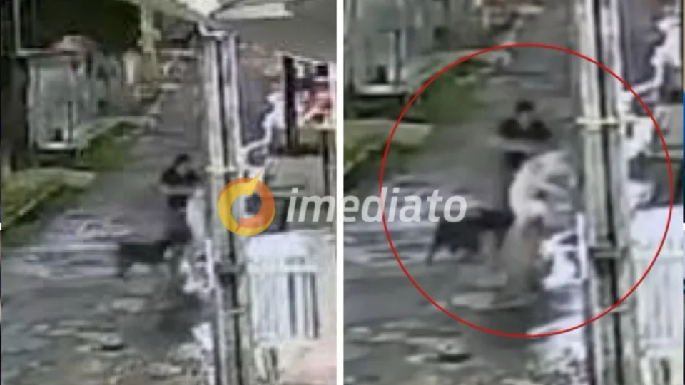 VEJA VÍDEO: Pitbull ataca mulher e cachorro no bairro Japiim, em manaus