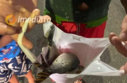 Moradores esperam por tambaqui e recebem jaraqui após promessa de vereador no bairro Compensa