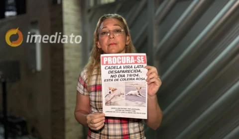 Família faz apelo para encontrar cadelinha desaparecida na zona Oeste de Manaus