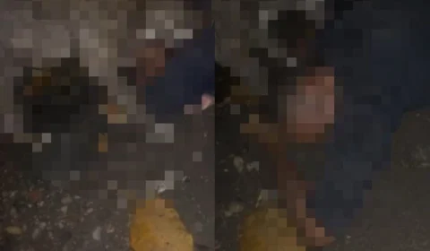 VEJA VÍDEO: suspeito de furto é atacado por cachorro e grita de dor