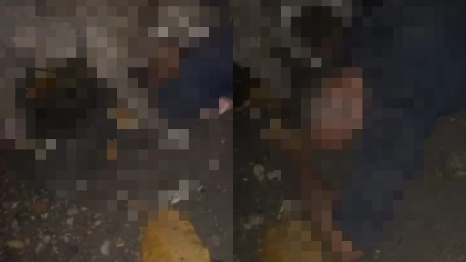 VEJA VÍDEO: suspeito de furto é atacado por cachorro e grita de dor