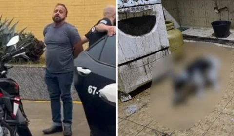 Médico é preso após animais serem achados congelados em freezer de casa