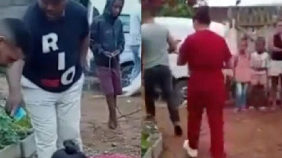 Adolescente dá à luz escondida e avó entrega bebê para ser devorado por cachorros no interior de Minas Gerais